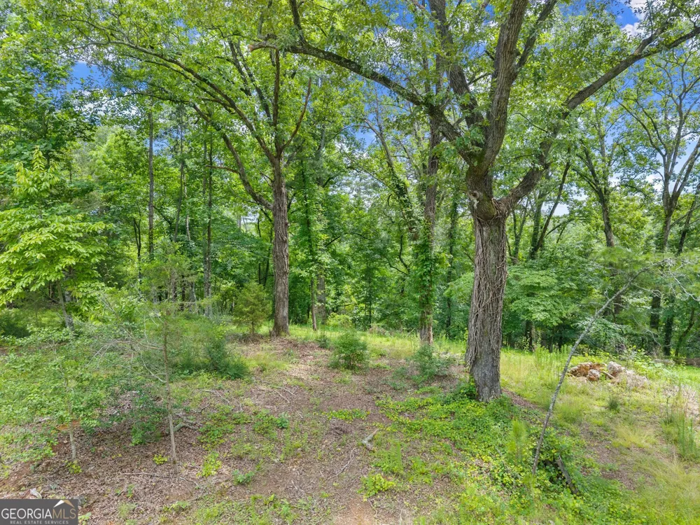 LOT 35 Lakemont TRL Demorest, GA 30535