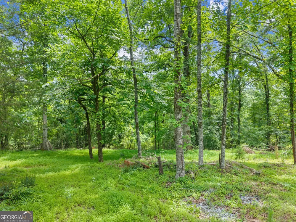 LOT 35 Lakemont TRL Demorest, GA 30535