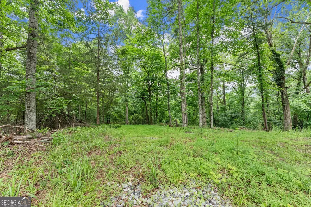 LOT 35 Lakemont TRL Demorest, GA 30535