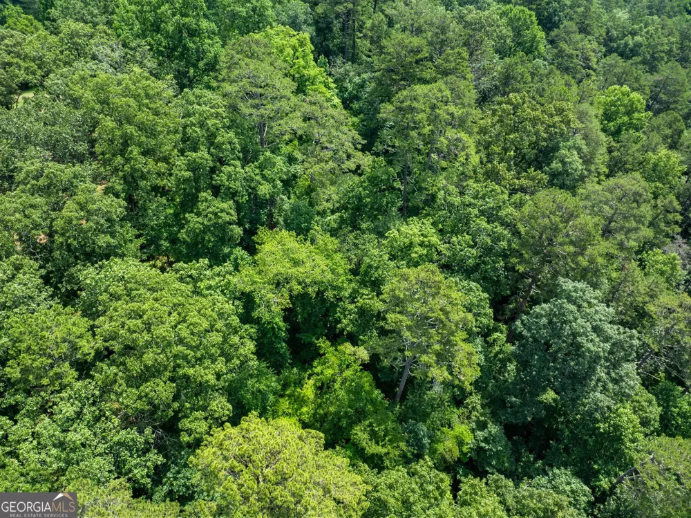 LOT 35 Lakemont TRL Demorest, GA 30535