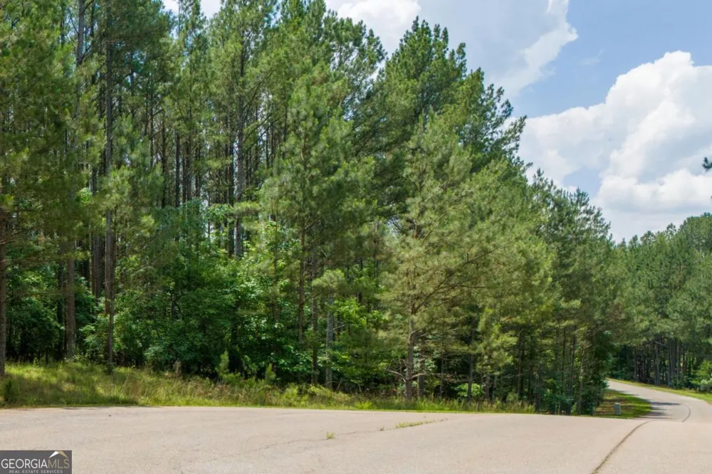 1441 Riverwalk RD Bishop, GA 30621