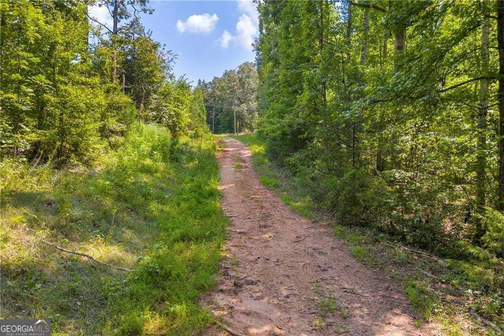 311 Caprice DR Martin, GA 30557