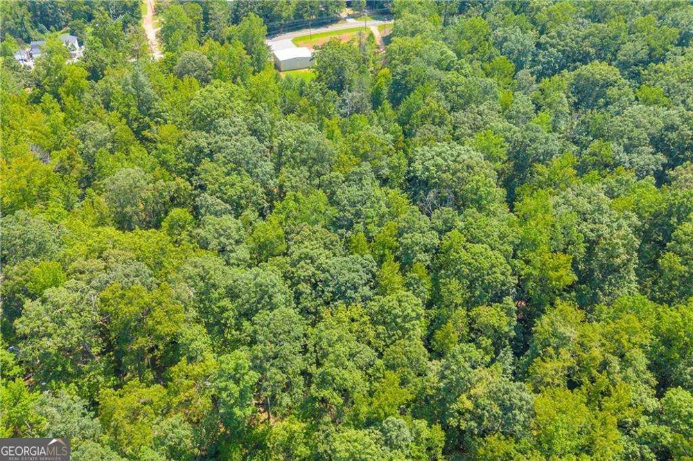 311 Caprice DR Martin, GA 30557
