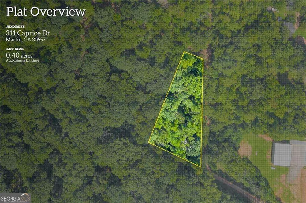 311 Caprice DR Martin, GA 30557