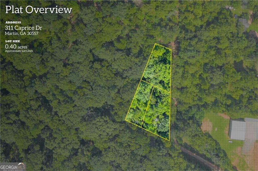 311 Caprice DR Martin, GA 30557