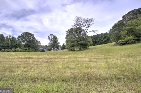 67 Polk LN