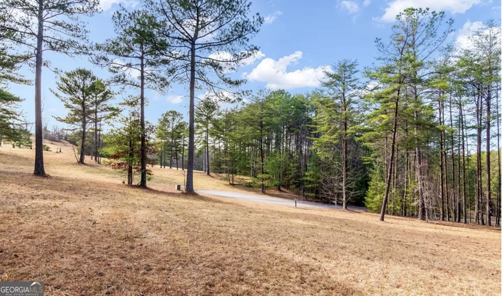 LOT 87 CREEK HOLLOW LANE Blairsville, GA 30512