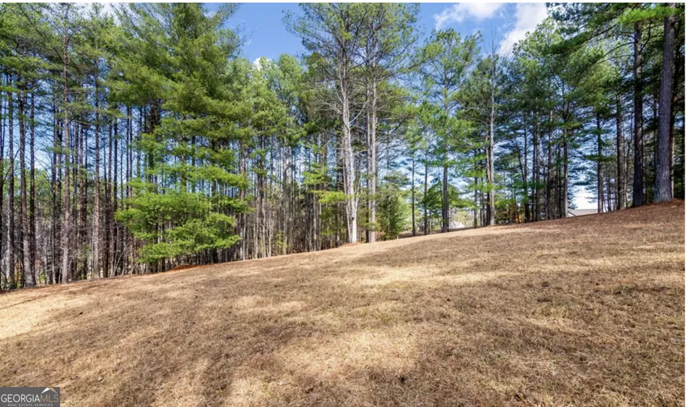 LOT 87 CREEK HOLLOW LANE Blairsville, GA 30512