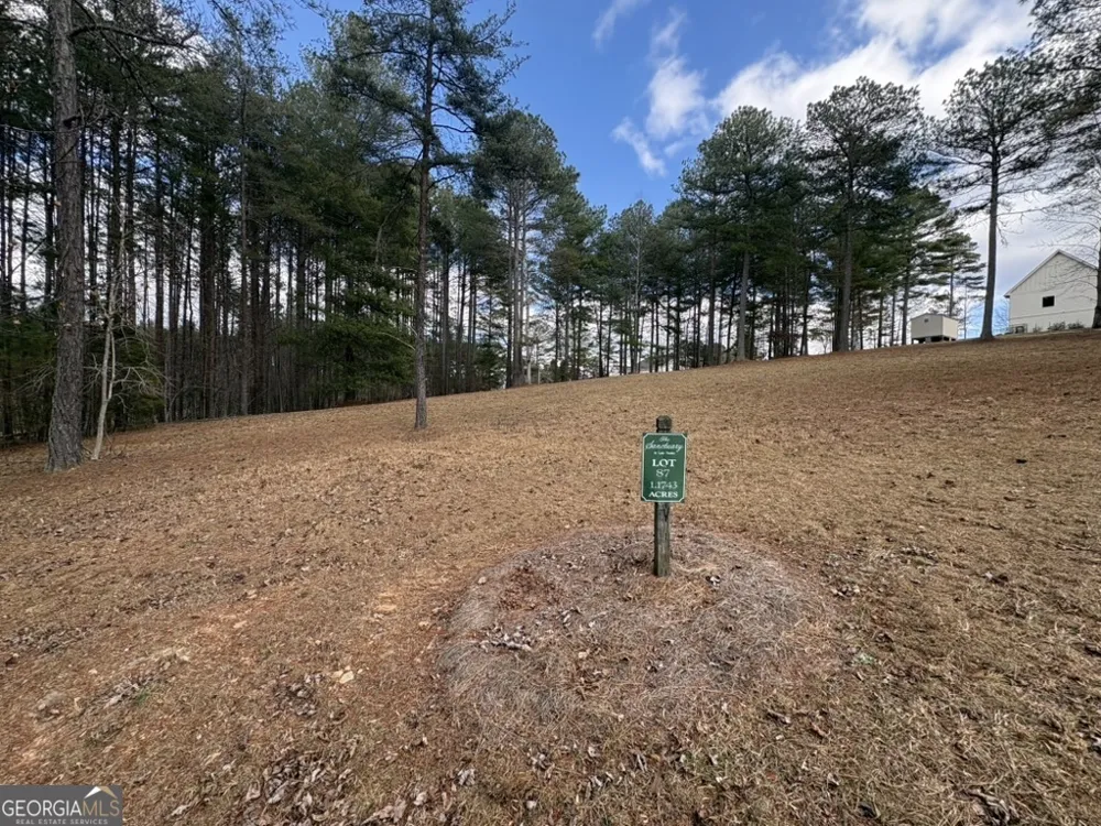 LOT 87 CREEK HOLLOW LANE Blairsville, GA 30512