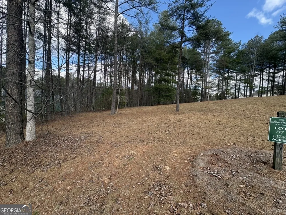 LOT 87 CREEK HOLLOW LANE Blairsville, GA 30512