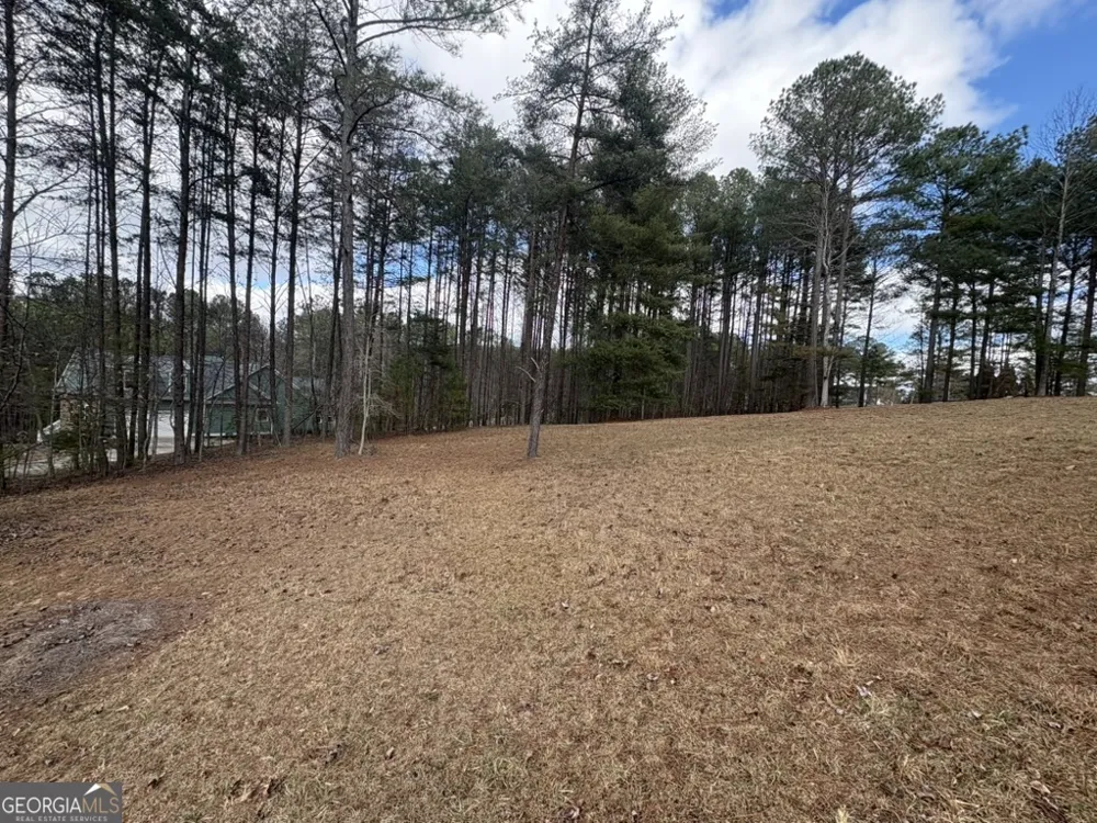 LOT 87 CREEK HOLLOW LANE Blairsville, GA 30512