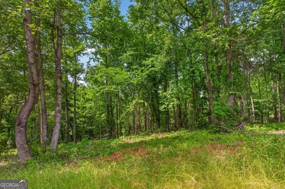 0 Conns Creek RD Ball Ground, GA 30107
