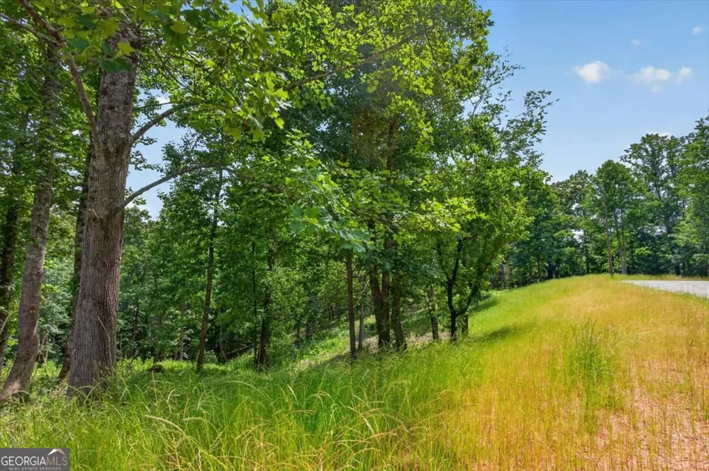 0 Conns Creek RD Ball Ground, GA 30107