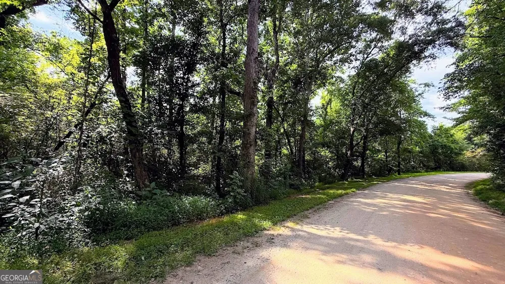 0 Nix RD Bremen, GA 30110