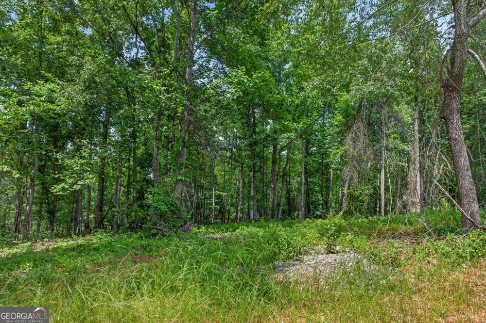0 Conns Creek RD Ball Ground, GA 30107
