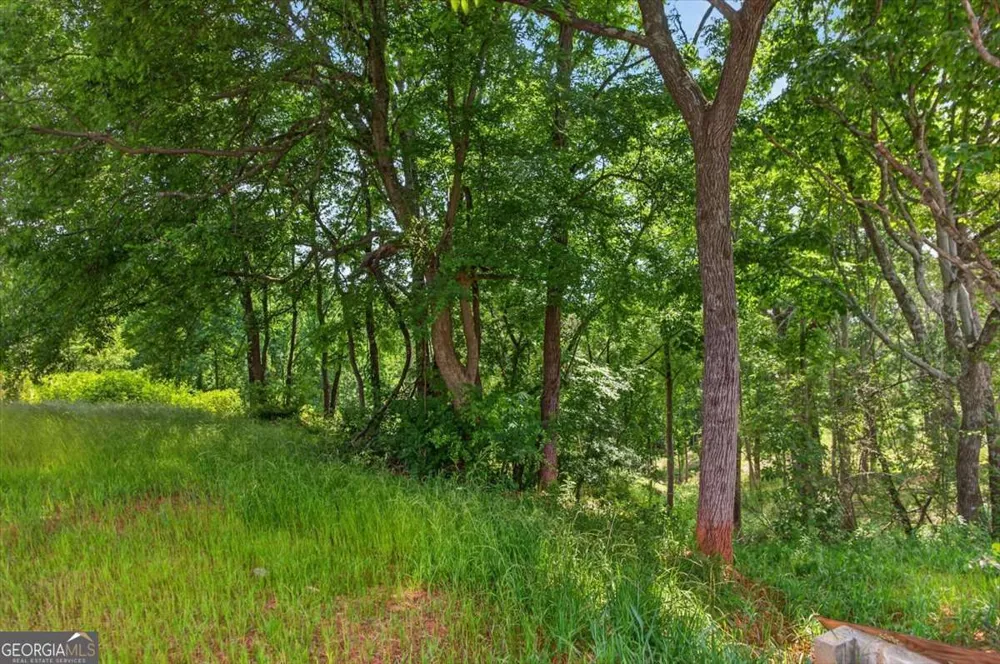 0 Conns Creek RD Ball Ground, GA 30107