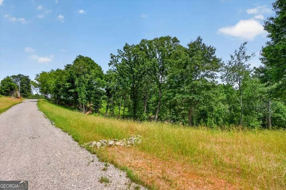 0 Conns Creek RD Ball Ground, GA 30107
