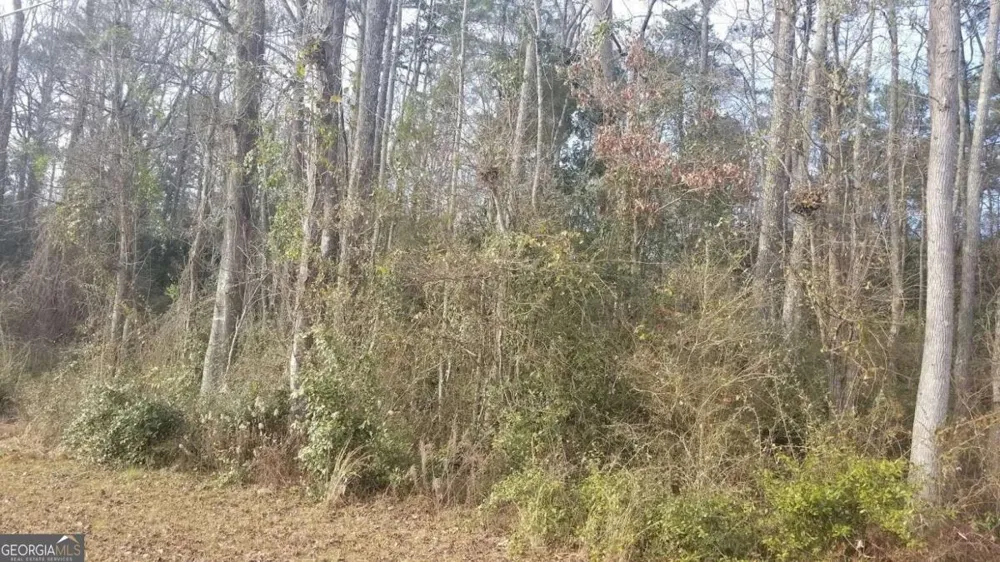 0 Veterans DR Thomaston, GA 30286