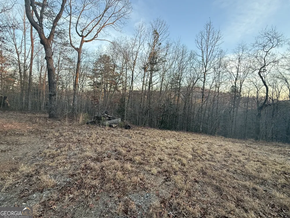 426 Rockhouse XING Demorest, GA 30535