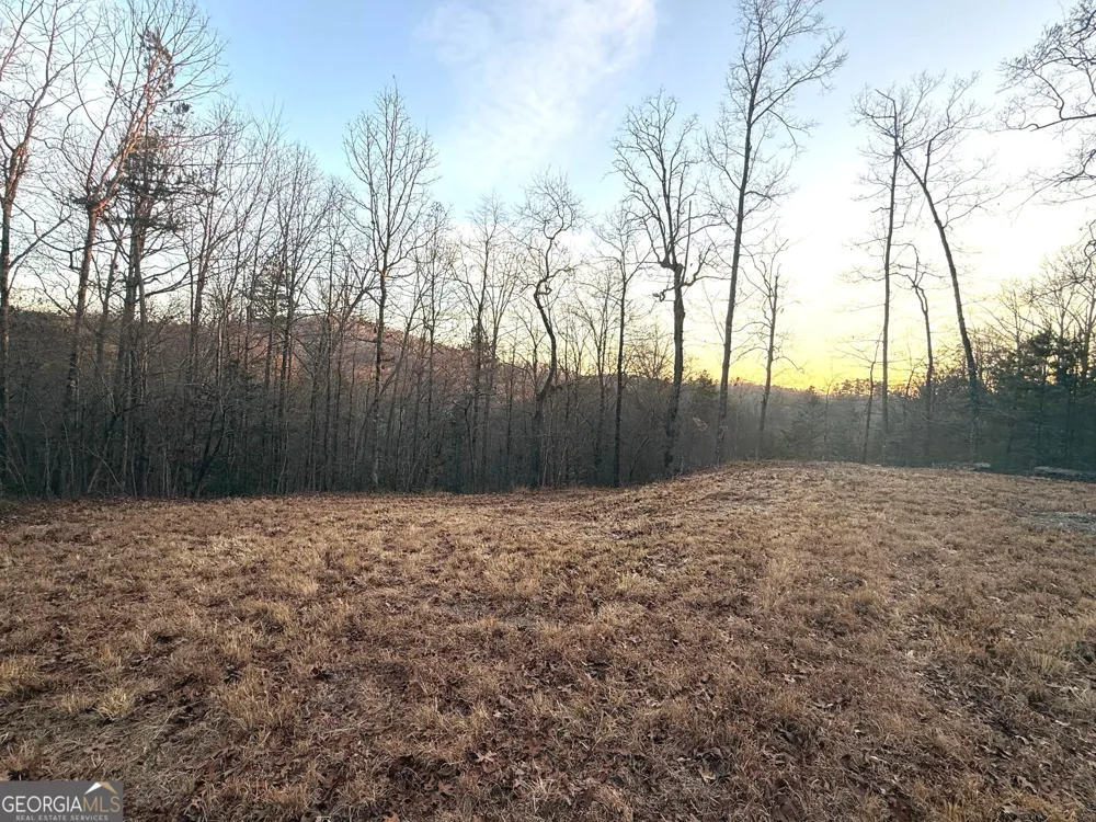 426 Rockhouse XING Demorest, GA 30535
