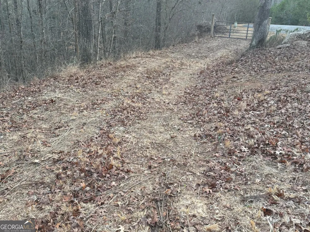 426 Rockhouse XING Demorest, GA 30535