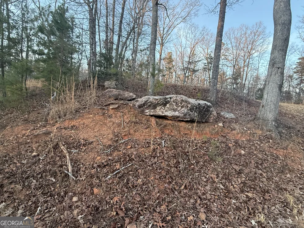 426 Rockhouse XING Demorest, GA 30535