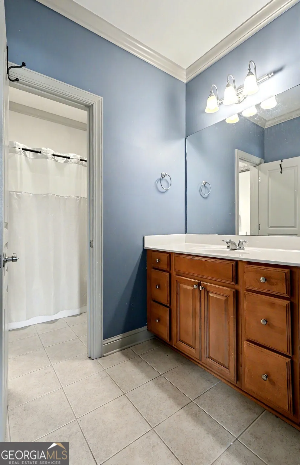 4 White Oak LN Sharpsburg, GA 30277