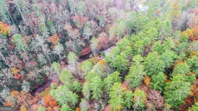 7670 Hiawassee Wilderness TRL Hiawassee, GA 30546