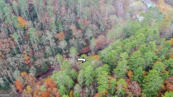 7670 Hiawassee Wilderness TRL Hiawassee, GA 30546