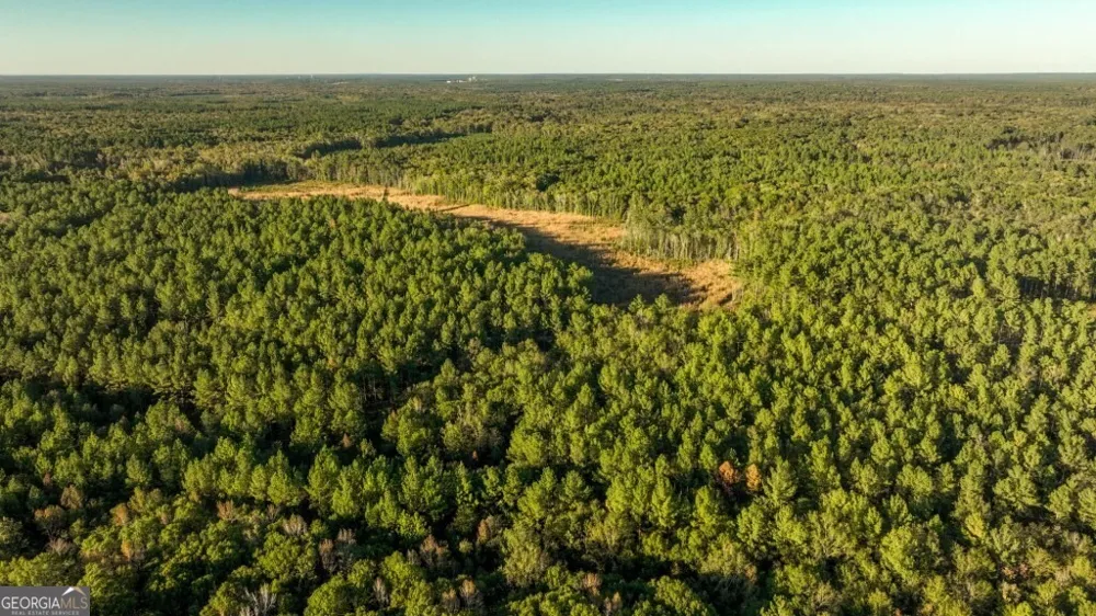 0 Old Savannah RD Millen, GA 30442