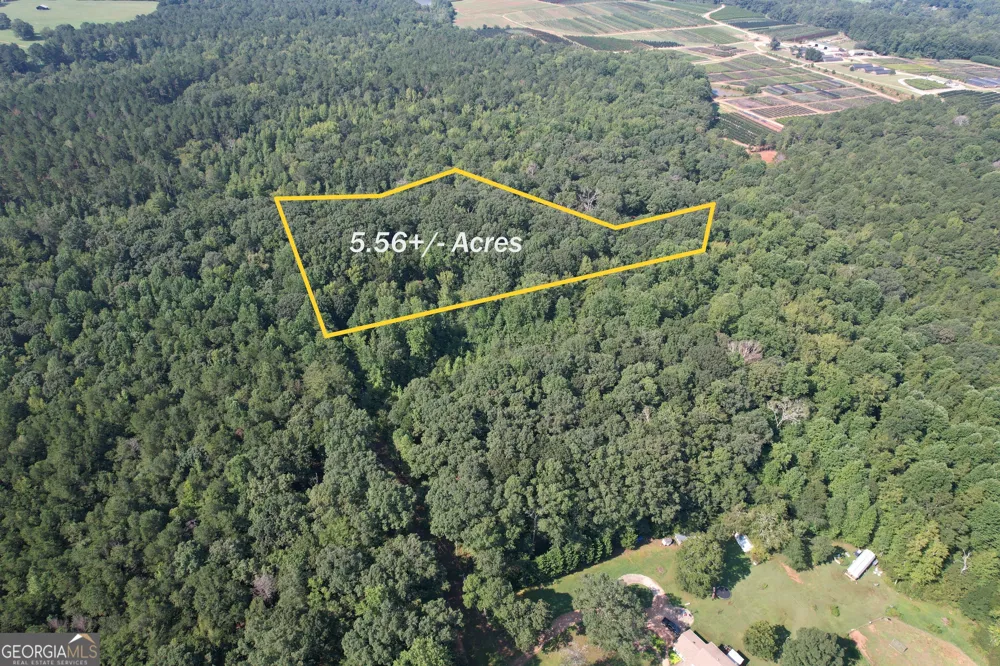 1321 Cemetery RD Bishop, GA 30621