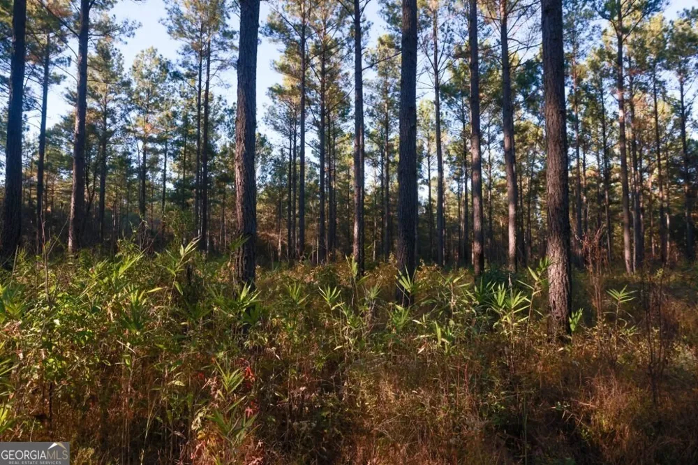 0 Old Savannah RD Millen, GA 30442