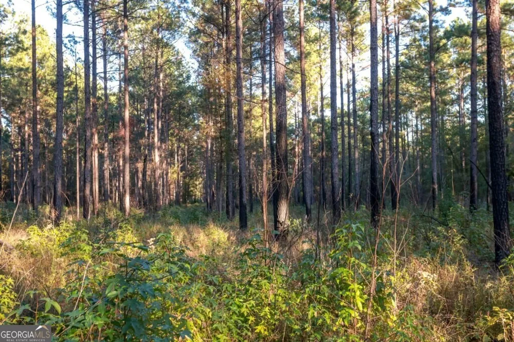 0 Old Savannah RD Millen, GA 30442