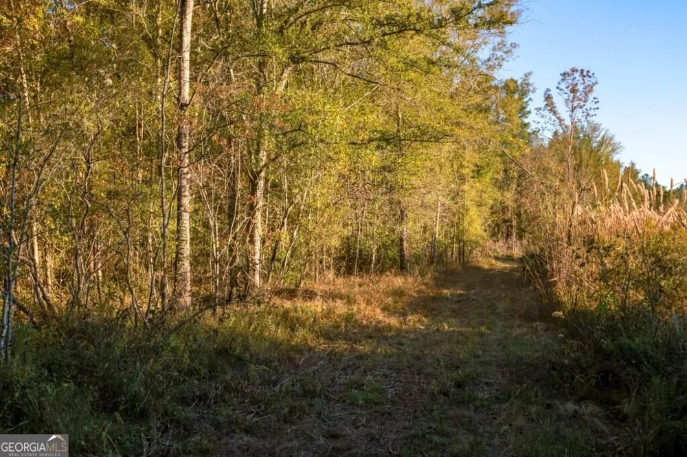 0 Old Savannah RD Millen, GA 30442
