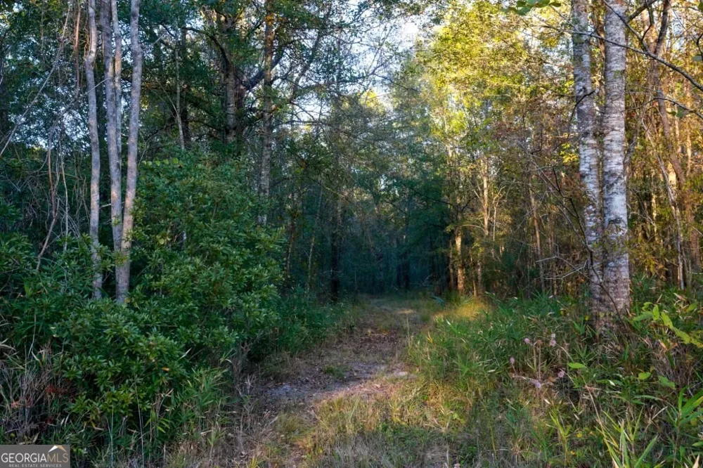 0 Old Savannah RD Millen, GA 30442
