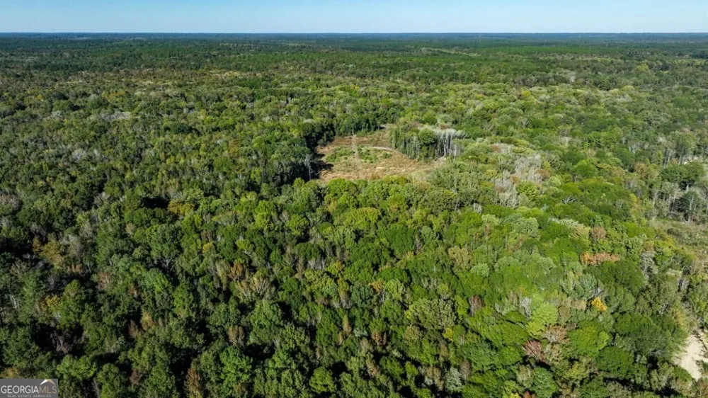 0 Old Savannah RD Millen, GA 30442