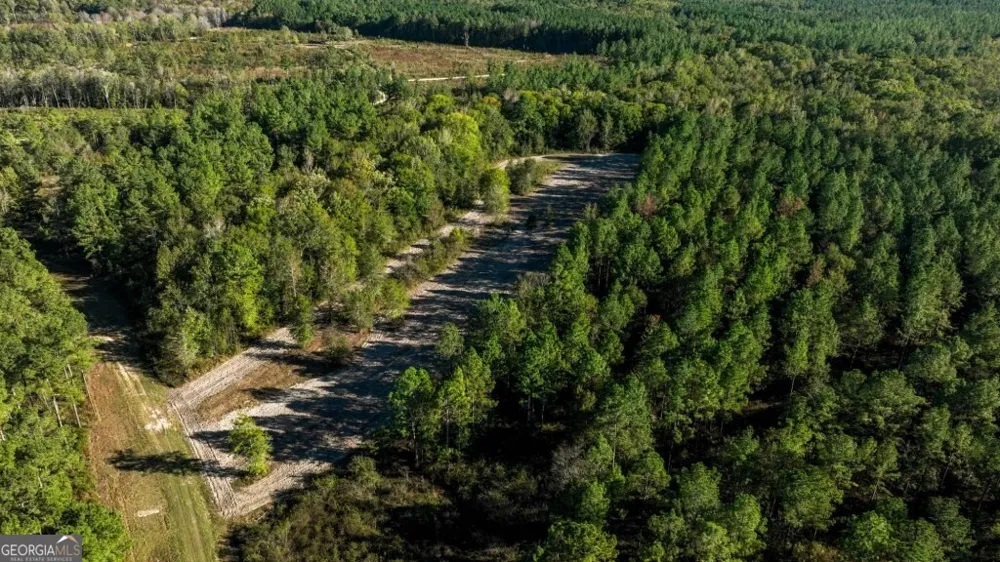 0 Old Savannah RD Millen, GA 30442