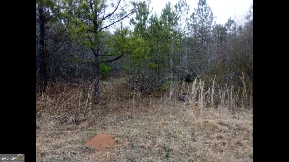 002 Old Woodbury RD Woodbury, GA 30293