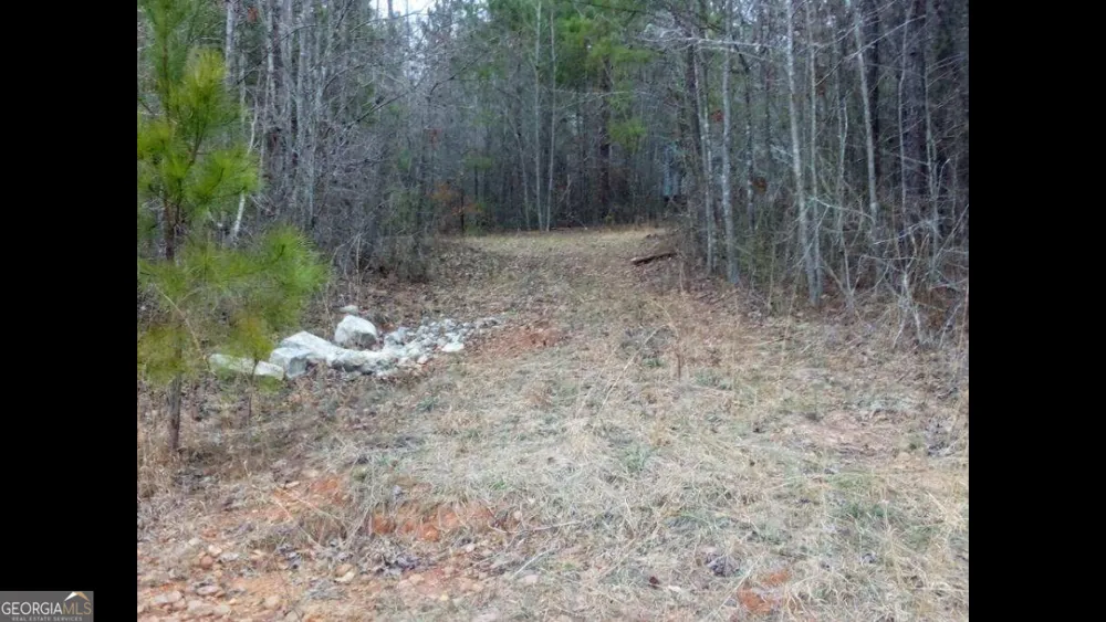 002 Old Woodbury RD Woodbury, GA 30293