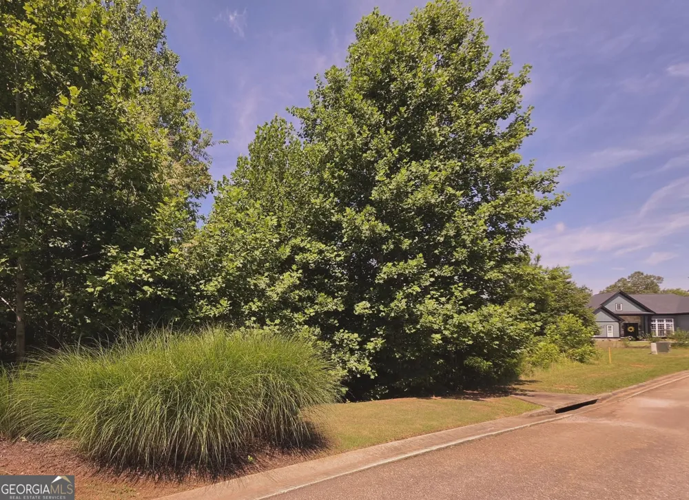 155 Coneflower LN Toccoa, GA 30577