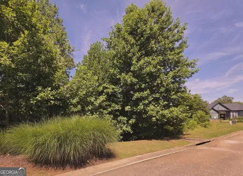 155 Coneflower LN