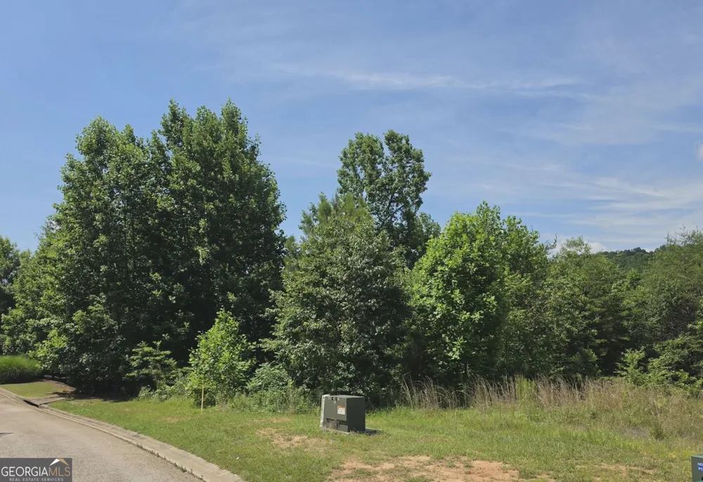 155 Coneflower LN Toccoa, GA 30577