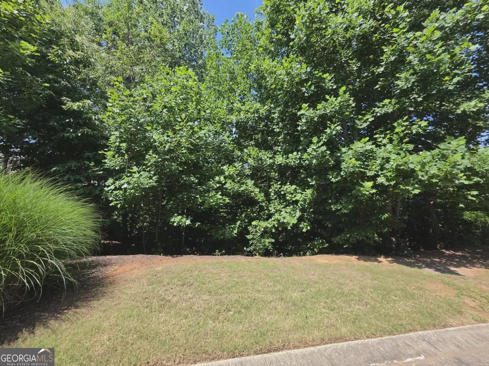 155 Coneflower LN Toccoa, GA 30577