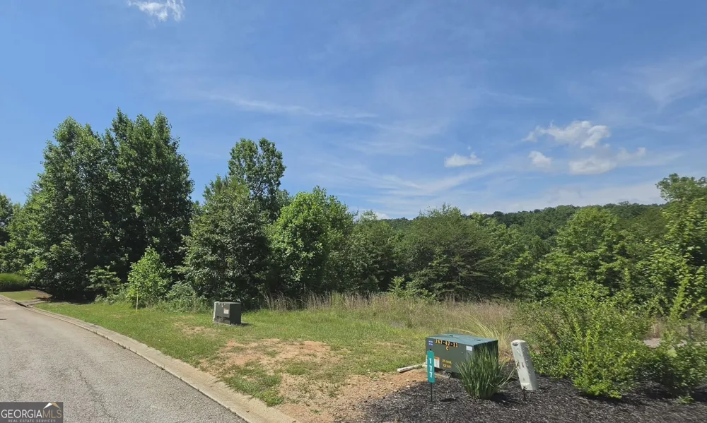 155 Coneflower LN Toccoa, GA 30577