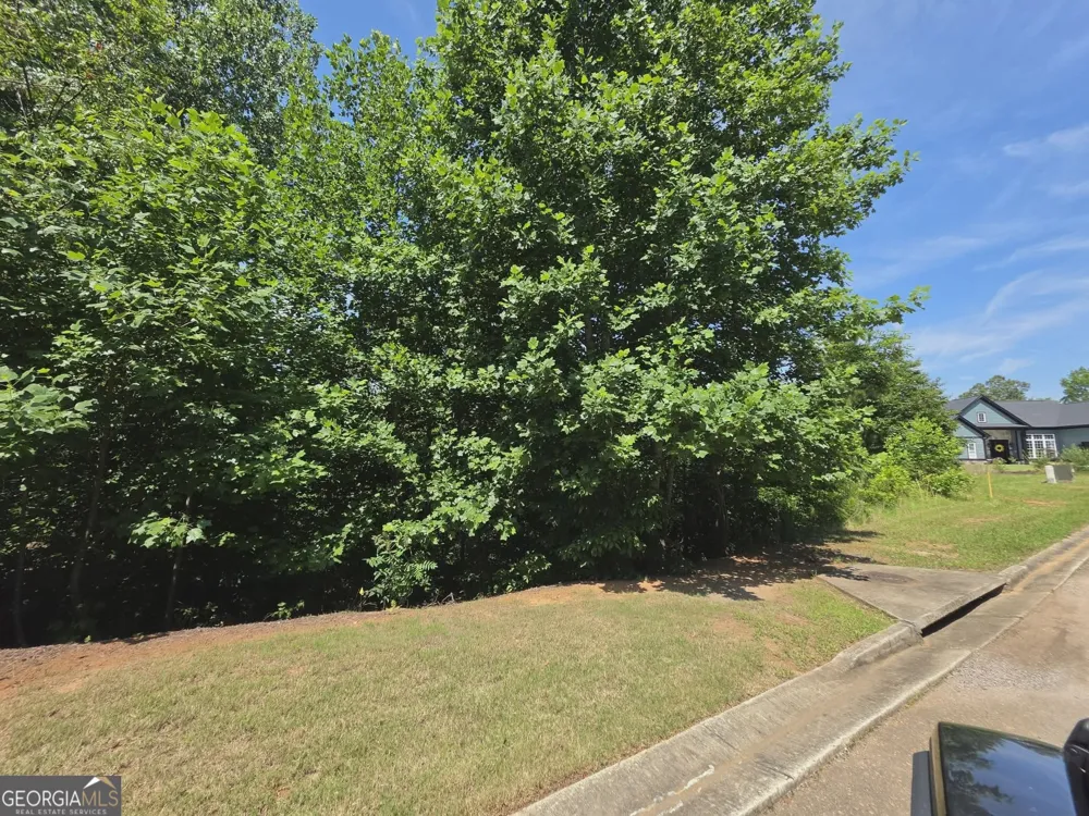 155 Coneflower LN Toccoa, GA 30577