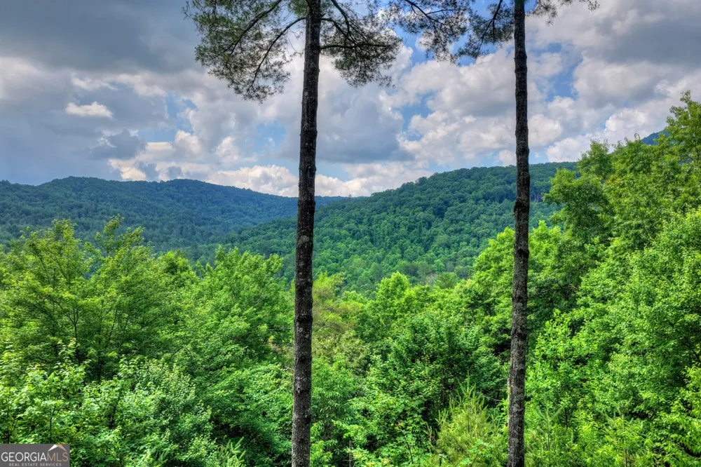 255 Indian Ridge RD Epworth, GA 30541
