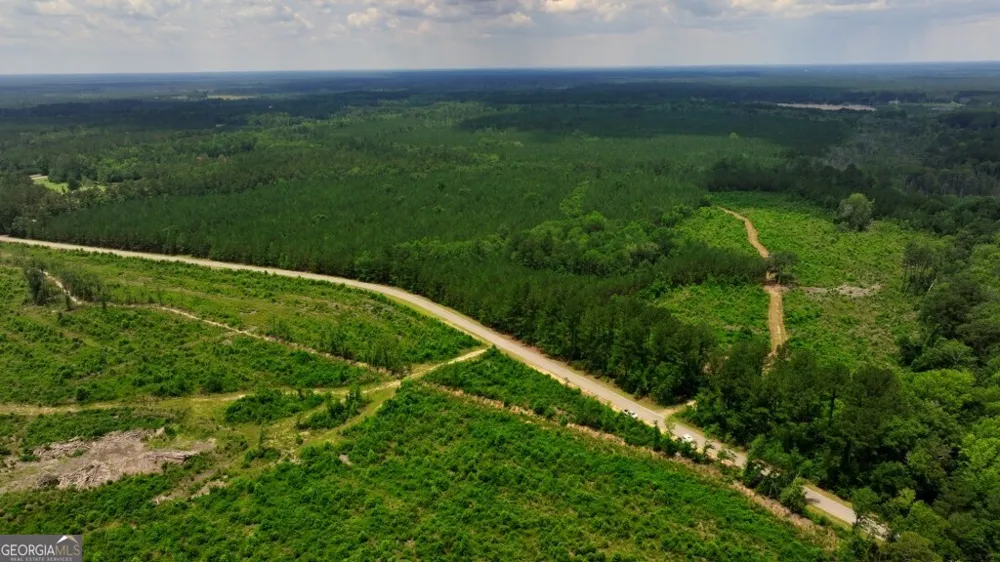 0 Highway 204 & Carlos Cowart RD Pembroke, GA 31321