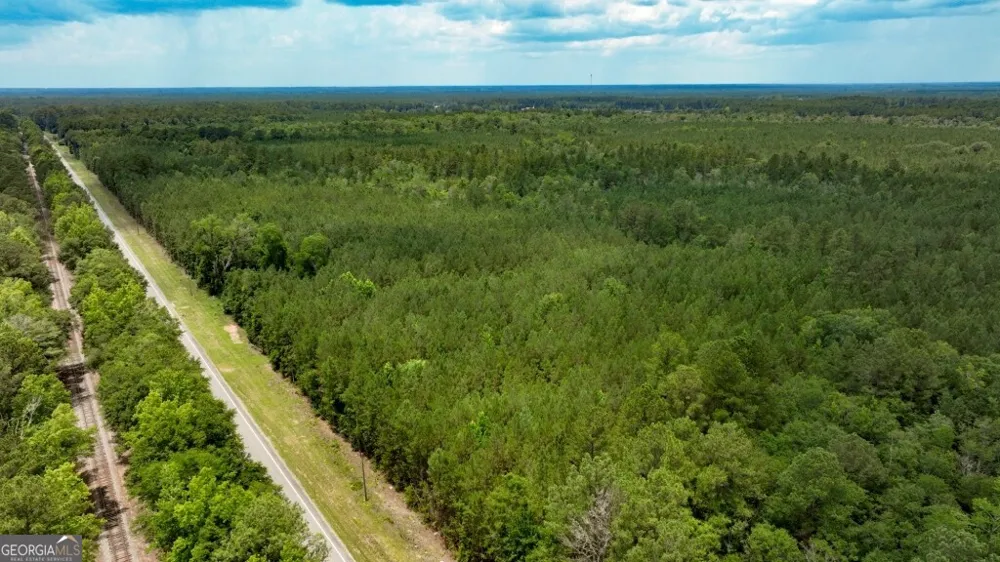 0 Highway 204 & Carlos Cowart RD Pembroke, GA 31321