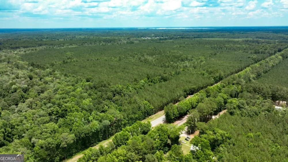 0 Highway 204 & Carlos Cowart RD Pembroke, GA 31321