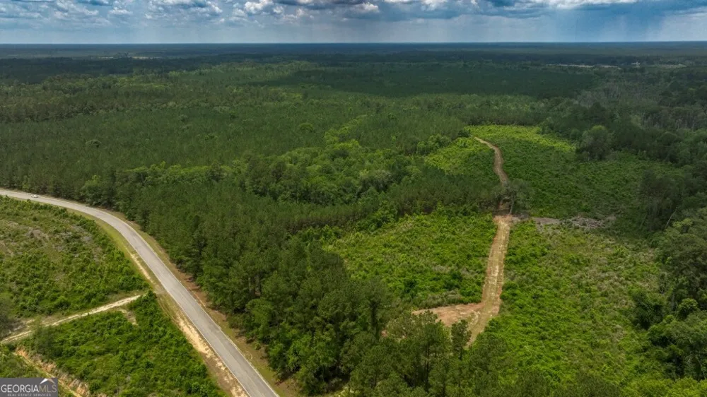 0 Highway 204 & Carlos Cowart RD Pembroke, GA 31321